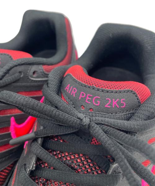 NIKE（ナイキ）NIKE (ナイキ) Air Pegasus 2K5 レッド×ブラック サイズ:28cmの古着・服飾アイテム