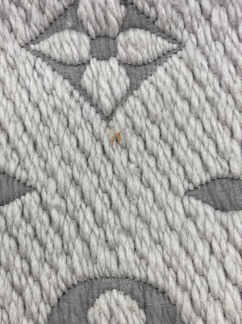 LOUIS VUITTON（ルイ ヴィトン）LOUIS VUITTON (ルイ ヴィトン) エシャルプ ロゴマニア グレーの古着・服飾アイテム