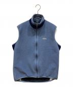 Patagoniaパタゴニア）の古着「フライヤー フリーズベスト」｜ブルー