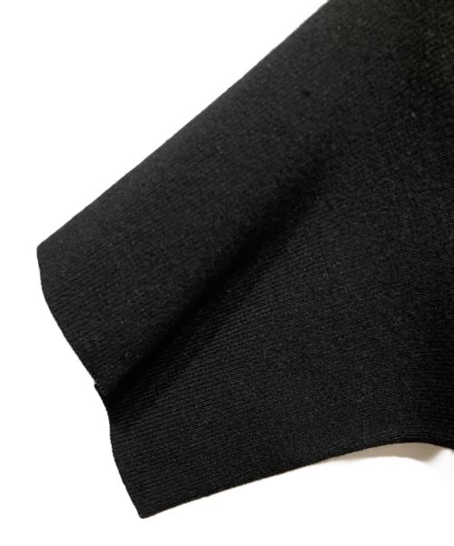 LE PHIL（ル フィル）LE PHIL (ル フィル) ラインオーバーワンピース ブラック サイズ:SIZE 0の古着・服飾アイテム