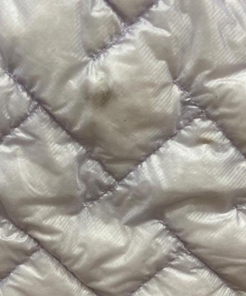 mont-bell（モンベル）mont-bell (モンベル) プラズマ1000ダウンジャケット ラベンダー サイズ:SIZE Sの古着・服飾アイテム