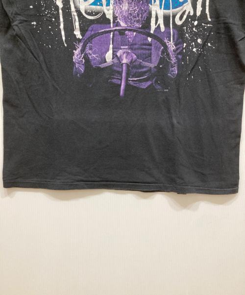 TULTEX（タルテックス）TULTEX (タルテックス) バンドTシャツ ブラック サイズ:SIZE Lの古着・服飾アイテム