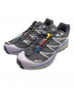 SALOMONサロモン）の古着「XT-6 Ashes Of Roses」｜グレー×ピンク