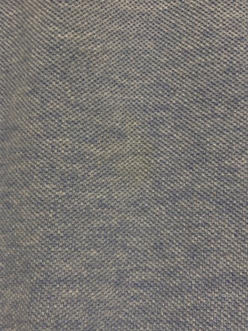 POLO RALPH LAUREN（ポロ・ラルフローレン）POLO RALPH LAUREN (ポロ・ラルフローレン) ポロシャツ ブルー サイズ:SIZE Lの古着・服飾アイテム