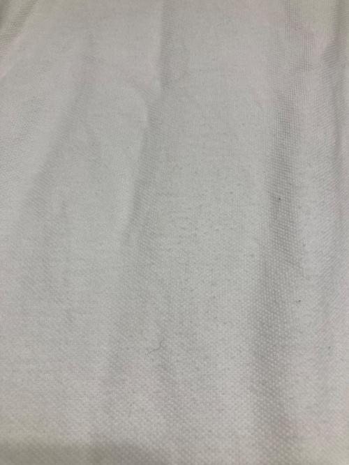 POLO RALPH LAUREN（ポロ・ラルフローレン）POLO RALPH LAUREN (ポロ・ラルフローレン) 襟ラインポロシャツ ホワイト サイズ:SIZE XLの古着・服飾アイテム