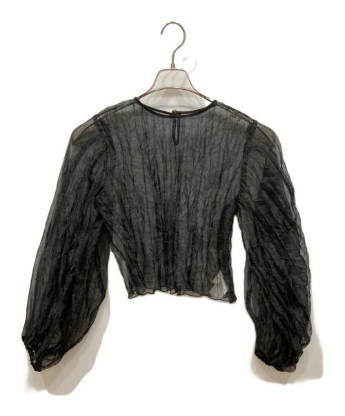 LEINWANDE（ラインヴァンド）LEINWANDE (ラインヴァンド) リサイクルオーガンジープリーツトップ ブラック サイズ:SIZE　FREEの古着・服飾アイテム