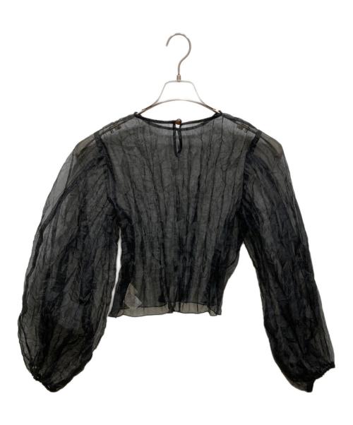 LEINWANDE（ラインヴァンド）LEINWANDE (ラインヴァンド) リサイクルオーガンジープリーツトップ ブラック サイズ:SIZE　FREEの古着・服飾アイテム