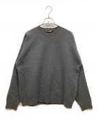 AURALEEオーラリー）の古着「FELTED WOOL KNIT P/O」｜グレー