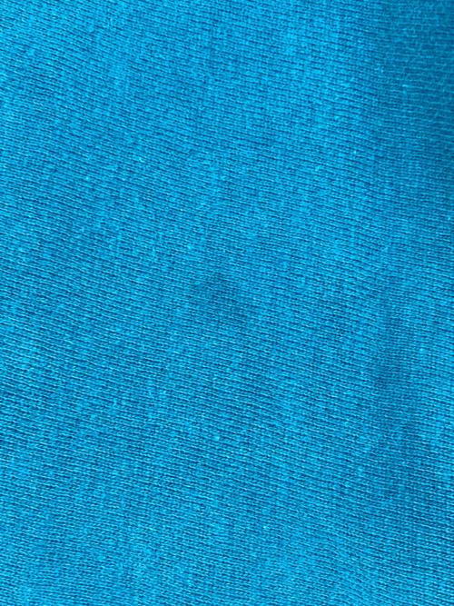 Champion（チャンピオン）Champion (チャンピオン) リバースウィーブプルオーバーパーカー グリーン サイズ:SIZE XLの古着・服飾アイテム