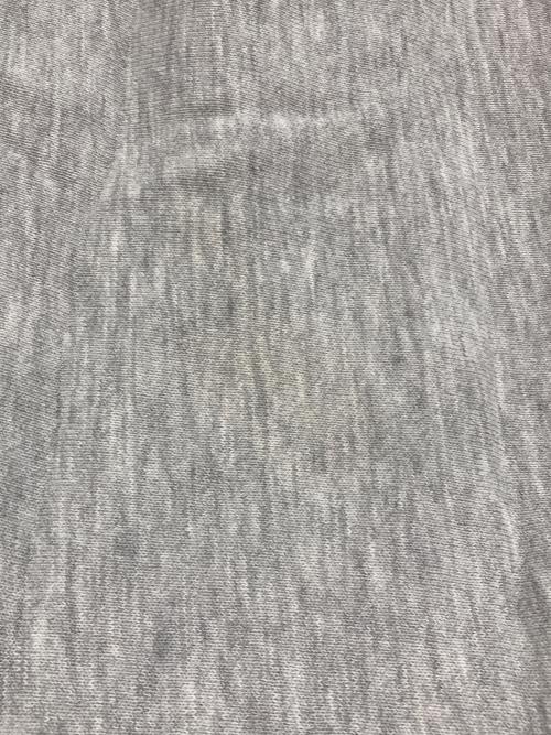 Champion REVERSE WEAVE（チャンピオン リバース ウィーブ）Champion REVERSE WEAVE (チャンピオン リバース ウィーブ) プリントスウェット グレー サイズ:SIZE XXLの古着・服飾アイテム