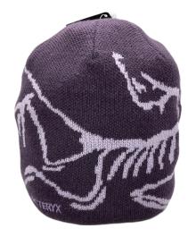 ARC'TERYX（アークテリクス）の古着「バードヘッドトーク」｜ラベンダー