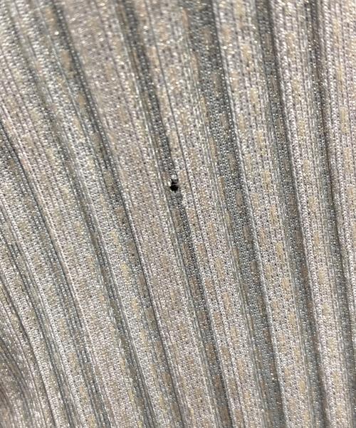 PLEATS PLEASE（プリーツプリーズ）PLEATS PLEASE (プリーツプリーズ) プリーツパンツ シルバー サイズ:-の古着・服飾アイテム