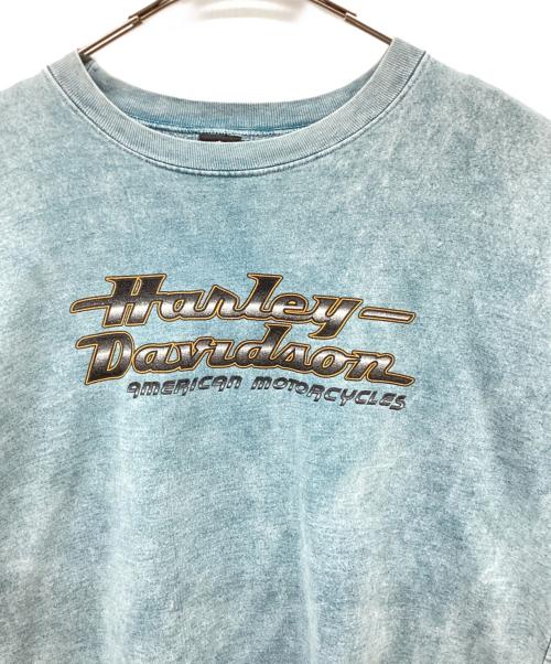 HARLEY-DAVIDSON（ハーレーダビッドソン）HARLEY-DAVIDSON (ハーレーダビッドソン) 両面プリントスウェット/USA製 ブルー サイズ:XLの古着・服飾アイテム