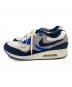 NIKE (ナイキ) AIR MAX LIGHT ブルー サイズ:27.5：6000円