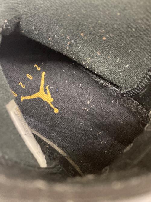 NIKE（ナイキ）NIKE (ナイキ) Air Jordan 6 DMP 