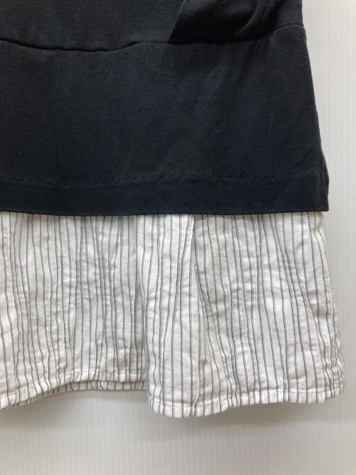 BEARDSLEY（ビアズリー）BEARDSLEY (ビアズリー) 重ね風ストライプ カットソー ブラック×ホワイト サイズ:SIZE Freeの古着・服飾アイテム