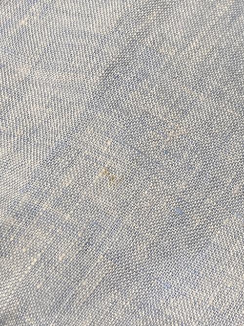 45R（フォーティファイブ・アール）45R (フォーティファイブ・アール) インドリネンの馬シャツ スカイブルー サイズ:-の古着・服飾アイテム