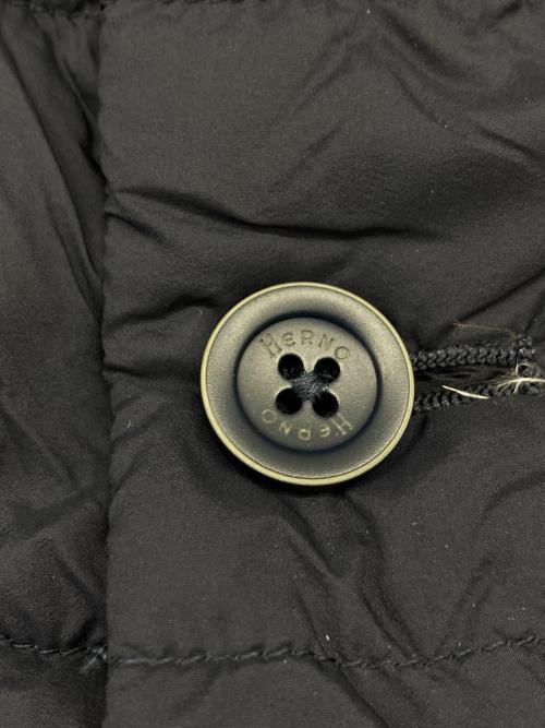 HERNO（ヘルノ）HERNO (ヘルノ) LEGEND ダウンベスト ネイビー サイズ:48の古着・服飾アイテム