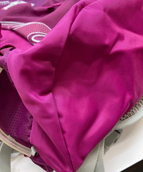 OSPREY（オスプレー）OSPREY (オスプレー) TEMPEST 20 未使用品の古着・服飾アイテム