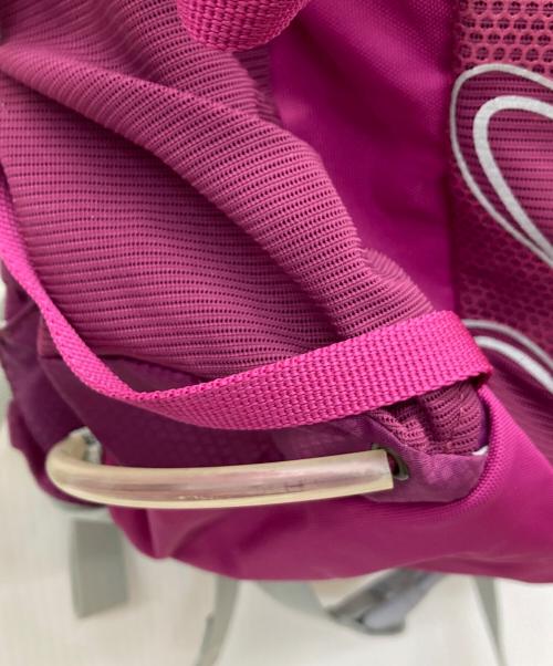 OSPREY（オスプレー）OSPREY (オスプレー) TEMPEST 20 未使用品の古着・服飾アイテム