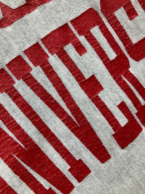 Champion（チャンピオン）Champion (チャンピオン) 80s REVERSE WEAVE グレー サイズ:XXLの古着・服飾アイテム
