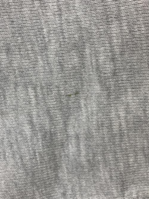 Champion（チャンピオン）Champion (チャンピオン) 80s REVERSE WEAVE グレー サイズ:Mの古着・服飾アイテム