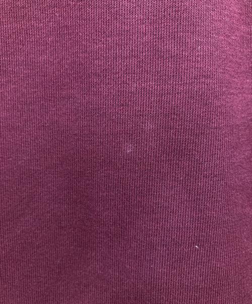 POLO RALPH LAUREN（ポロ・ラルフローレン）POLO RALPH LAUREN (ポロ・ラルフローレン) ビックポニー刺繍パーカー ボルドー サイズ:Lの古着・服飾アイテム
