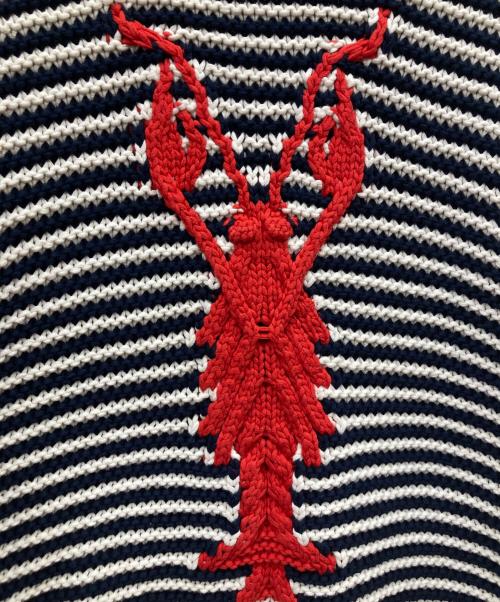 BROOKS BROTHERS（ブルックスブラザーズ）BROOKS BROTHERS (ブルックスブラザーズ) ロブスターデザインニット ネイビー×ホワイト サイズ:Mの古着・服飾アイテム