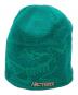 ARC'TERYX (アークテリクス) Bird Head Toque グリーン：7000円