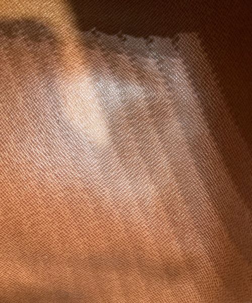 LOUIS VUITTON（ルイ ヴィトン）LOUIS VUITTON (ルイ ヴィトン) パピヨンGM/ハンドバッグ ブラウンの古着・服飾アイテム