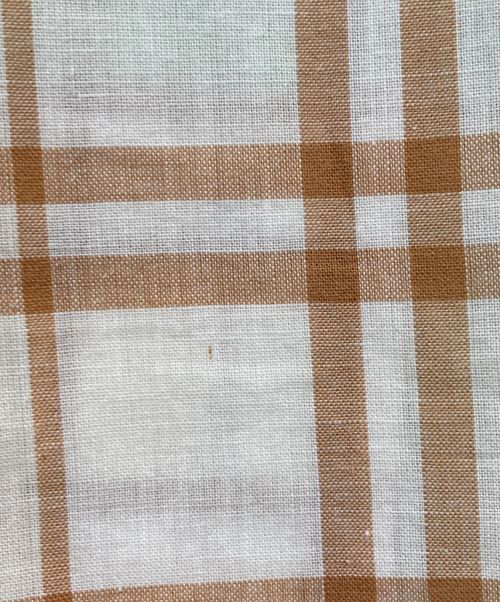 Island in the Sun（アイランド イン ザ サン）Island in the Sun (アイランド イン ザ サン) ヴィンテージボタンダウンチェックシャツ グリーン×ホワイト サイズ:Mの古着・服飾アイテム