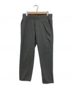 THE NORTH FACEザ ノース フェイス）の古着「フレキシブルアンクルパンツ」｜グレー