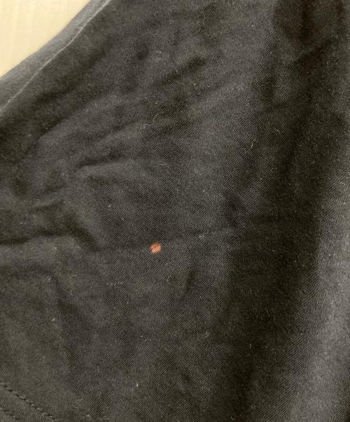 BLACK LABEL CRESTBRIDGE（ブラックレーベル クレストブリッジ）BLACK LABEL CRESTBRIDGE (ブラックレーベル クレストブリッジ) ロゴプリントTシャツ ネイビー サイズ:Lの古着・服飾アイテム