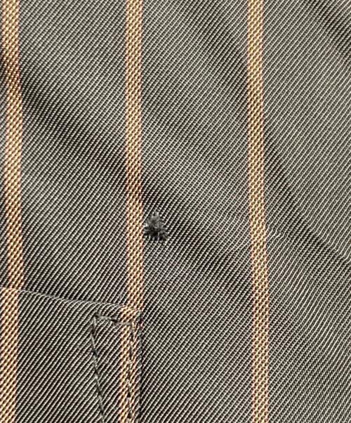 Yohji Yamamoto pour homme（ヨウジヤマモト プールオム）Yohji Yamamoto pour homme (ヨウジヤマモト プールオム) ストライプスタッフシャツ ブラック サイズ:3の古着・服飾アイテム