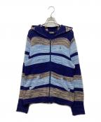 Hysteric Glamourヒステリックグラマー）の古着「ネイティブボーダー ジップ パーカー」｜ブルー