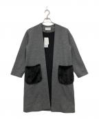 Pinky & Dianneピンキーアンドダイアン）の古着「リバージャージファーポケット」｜グレー