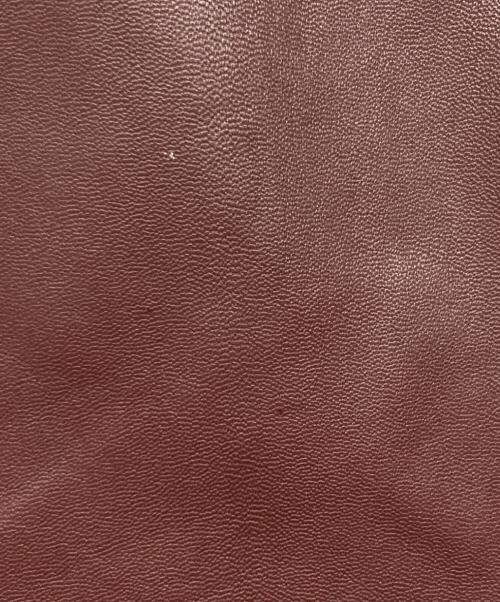 COLE HAAN（コールハーン）COLE HAAN (コールハーン) レザージャケット / アシンメトリーカラージャケット ボルドー サイズ:XSの古着・服飾アイテム