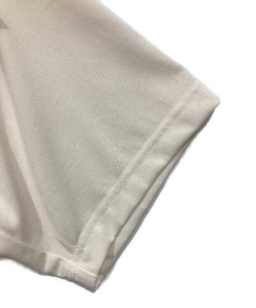 THE NORTH FACE（ザ ノース フェイス）THE NORTH FACE (ザ ノース フェイス) ショートスリーブTNFバグフリーティー / S/S TNF BUG FREE T アイボリー サイズ:Lの古着・服飾アイテム