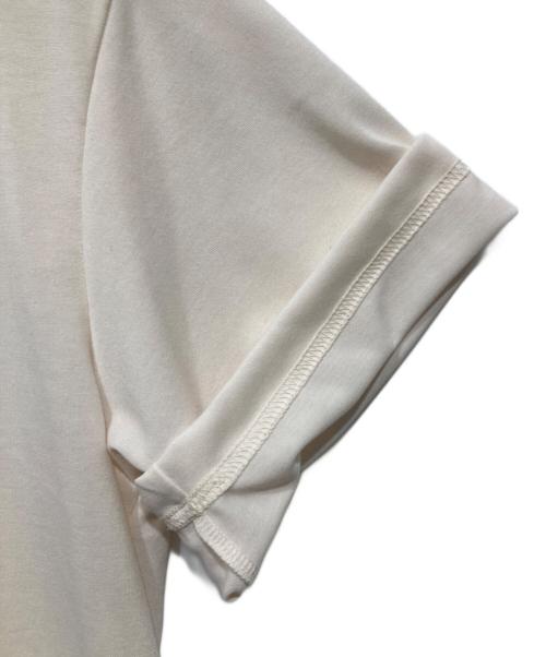 THE NORTH FACE（ザ ノース フェイス）THE NORTH FACE (ザ ノース フェイス) ショートスリーブTNFバグフリーティー / S/S TNF BUG FREE T アイボリー サイズ:Lの古着・服飾アイテム