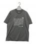 THE NORTH FACE（ザ ノース フェイス）の古着「ショートスリーブシレトコ トコティー」｜グレー