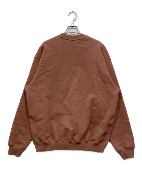 THE NORTH FACE（ザ ノース フェイス）THE NORTH FACE (ザ ノース フェイス) ロックステディクルー トレーナー ブラウン サイズ:Mの古着・服飾アイテム