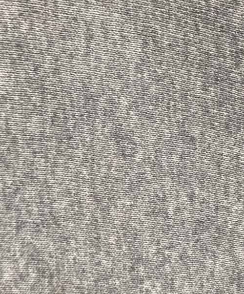 Champion REVERSE WEAVE（チャンピオン リバース ウィーブ）Champion REVERSE WEAVE (チャンピオン リバース ウィーブ) リバースウィーブスウェット グレー サイズ:Lの古着・服飾アイテム