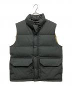 THE NORTH FACEザ ノース フェイス）の古着「ダウンベスト / 65/35 Sierra Vest」｜グレー