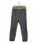 THE NORTH FACEザ ノース フェイス）の古着「トレーニングリブパンツ」｜グレー