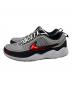 NIKE (ナイキ) ローカットスニーカー グレー サイズ:27.5cm：7000円