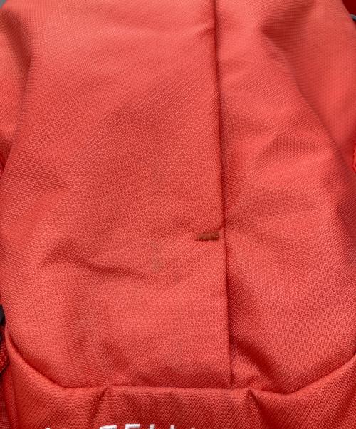THE NORTH FACE（ザ ノース フェイス）THE NORTH FACE (ザ ノース フェイス) W Tellus 30 レッドの古着・服飾アイテム