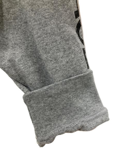 THE NORTH FACE（ザ ノース フェイス）THE NORTH FACE (ザ ノース フェイス) ロングスリーブスリーブグラフィックティー グレー サイズ:Lの古着・服飾アイテム