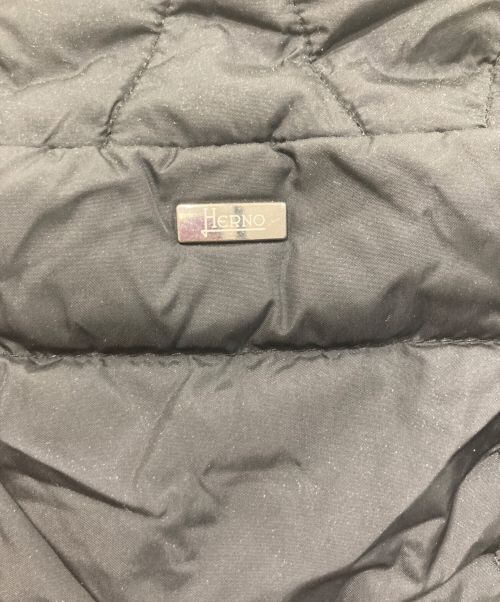 HERNO（ヘルノ）HERNO (ヘルノ) POLAR TECH 4ポケットフードダウンジャケット ブラック サイズ:48の古着・服飾アイテム