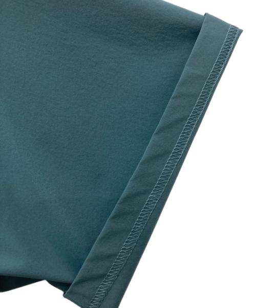 WILD THINGS（ワイルドシングス）WILD THINGS (ワイルドシングス) EKAL (エカル) エラスティックナイロンTシャツ ブルー サイズ:Lの古着・服飾アイテム