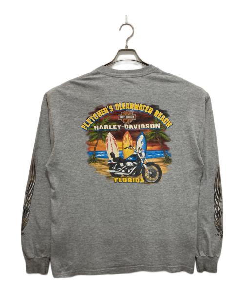 HARLEY-DAVIDSON（ハーレーダビッドソン）HARLEY-DAVIDSON (ハーレーダビッドソン) Hanes (ヘインズ) SLEEVE POINT TEE グレー サイズ:不明の古着・服飾アイテム